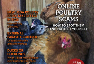 Backyard Poultry — June/July 2026